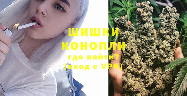 амф Билибино