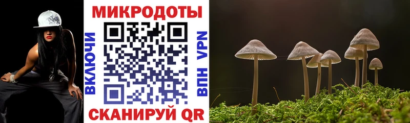 Псилоцибиновые грибы Psilocybine cubensis  Волоколамск 